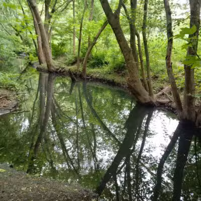 Teaneck Creek Conservancy - Teaneck, NJ