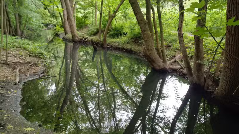 Teaneck Creek Conservancy - Teaneck, NJ