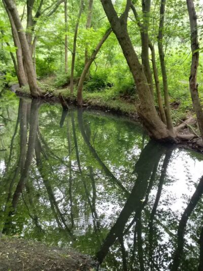 Teaneck Creek Conservancy - Teaneck, NJ