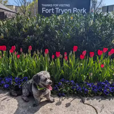 Tryon Park - Teaneck, NJ