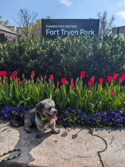 Tryon Park - Teaneck, NJ