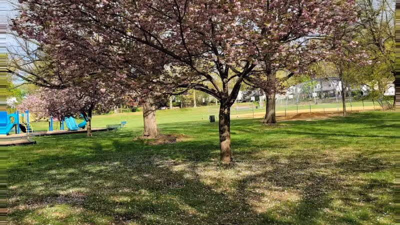 Tryon Park - Teaneck, NJ