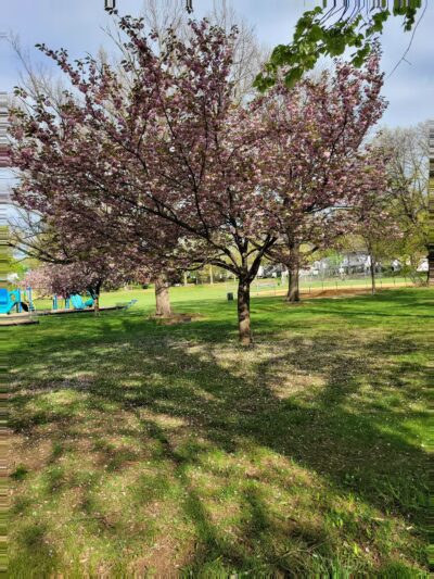 Tryon Park - Teaneck, NJ