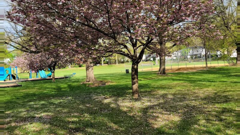 Tryon Park - Teaneck, NJ