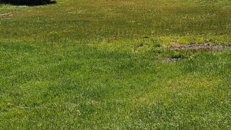 Votee Park Sportsplex - Teaneck, NJ