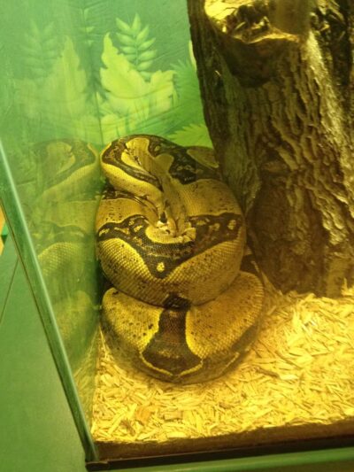 Windsor Park - Teaneck, NJ