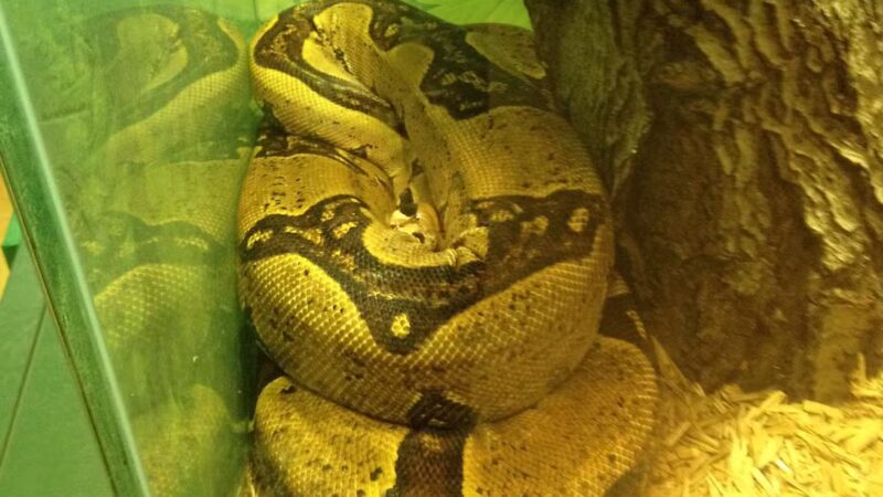 Windsor Park - Teaneck, NJ