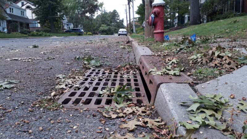 Windsor Park - Teaneck, NJ