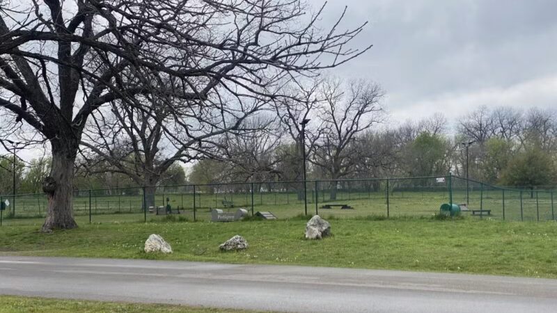 Central Texas Bark Park - Temple, TX