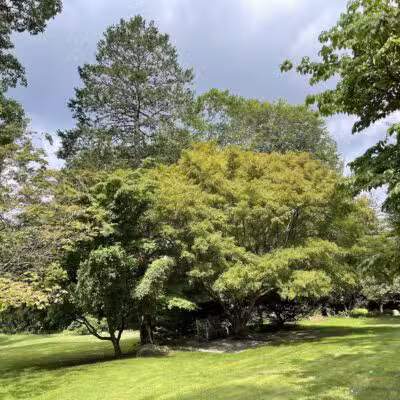 Davis Johnson Park & Gardens - Tenafly, NJ