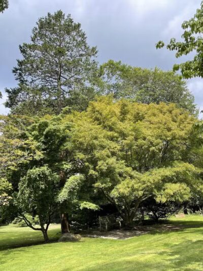 Davis Johnson Park & Gardens - Tenafly, NJ