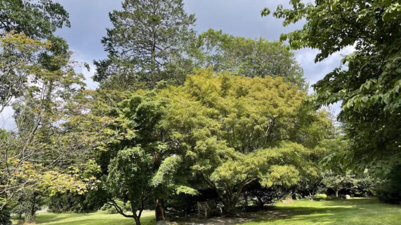 Davis Johnson Park & Gardens - Tenafly, NJ