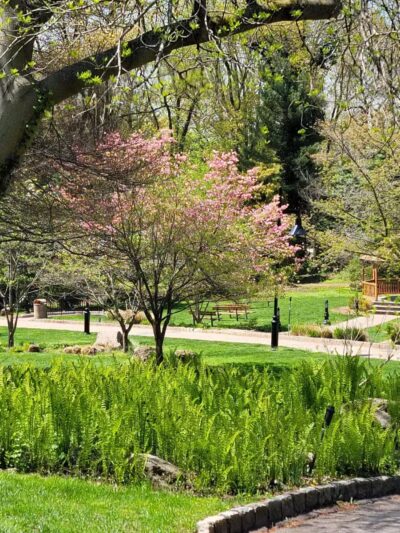 Davis Johnson Park & Gardens - Tenafly, NJ