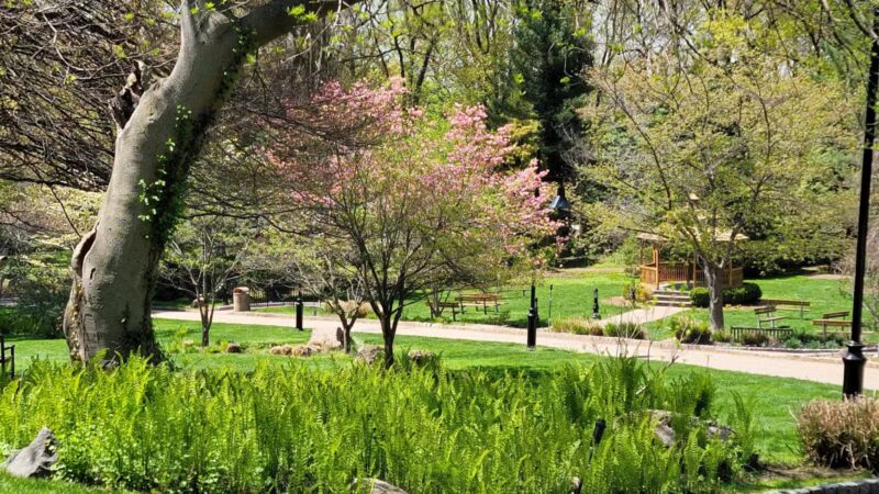 Davis Johnson Park & Gardens - Tenafly, NJ