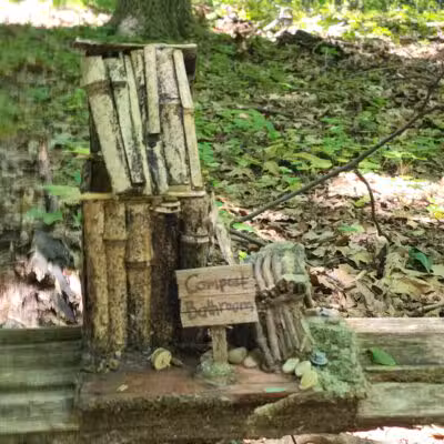 Tenafly Nature Center- Bellflower Fairy Trail - Tenafly, NJ