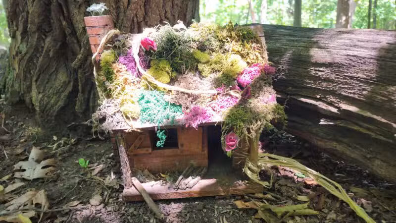 Tenafly Nature Center- Bellflower Fairy Trail - Tenafly, NJ