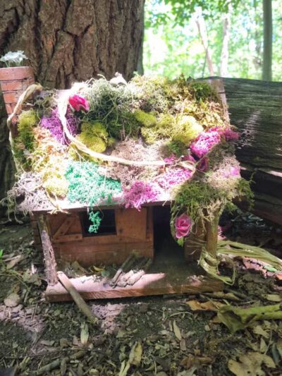 Tenafly Nature Center- Bellflower Fairy Trail - Tenafly, NJ