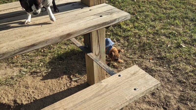 Vectren Bark Park - Terre Haute, IN