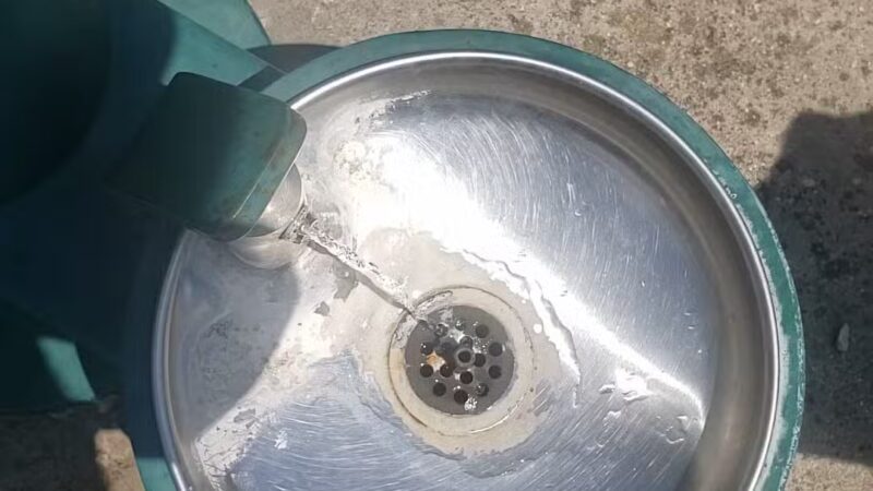 Vectren Bark Park - Terre Haute, IN