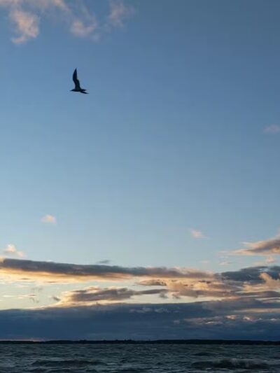 Long Point State Park - Thousand Islands - Three Mile Bay, NY