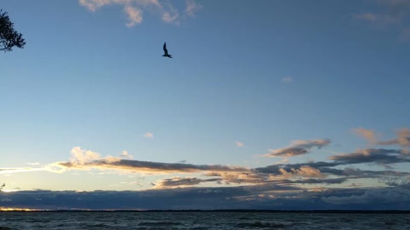 Long Point State Park - Thousand Islands - Three Mile Bay, NY