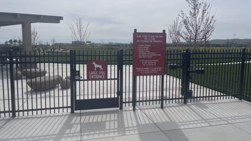 Ellis Dog Park - Tracy, CA