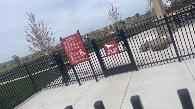 Ellis Dog Park - Tracy, CA