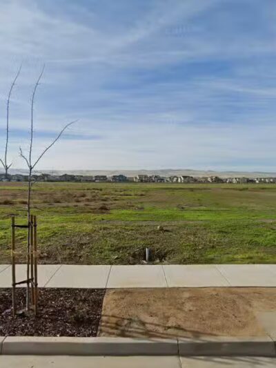 Ellis Dog Park - Tracy, CA