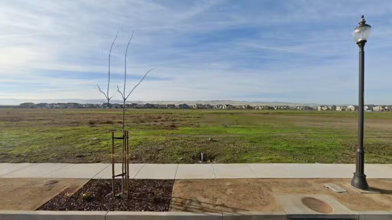 Ellis Dog Park - Tracy, CA