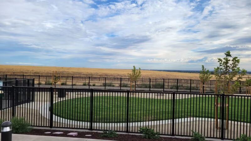 Gene Birk Dog Park - Tracy, CA