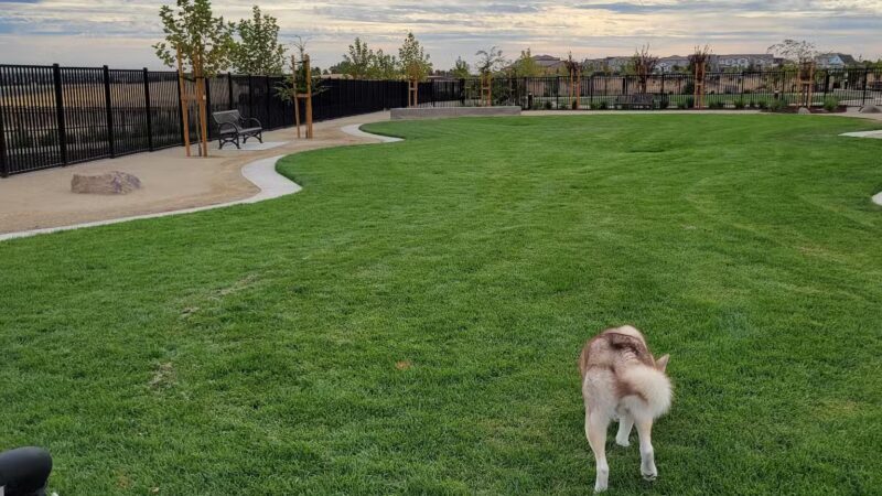 Gene Birk Dog Park - Tracy, CA