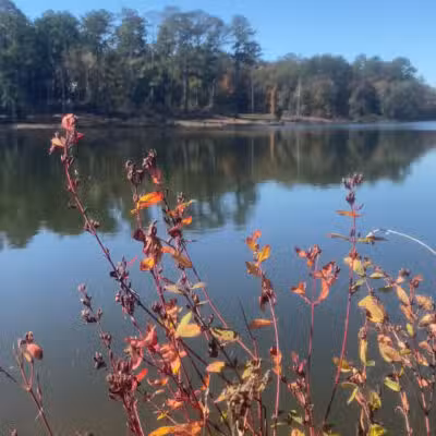 Pike County Lake - Troy, AL