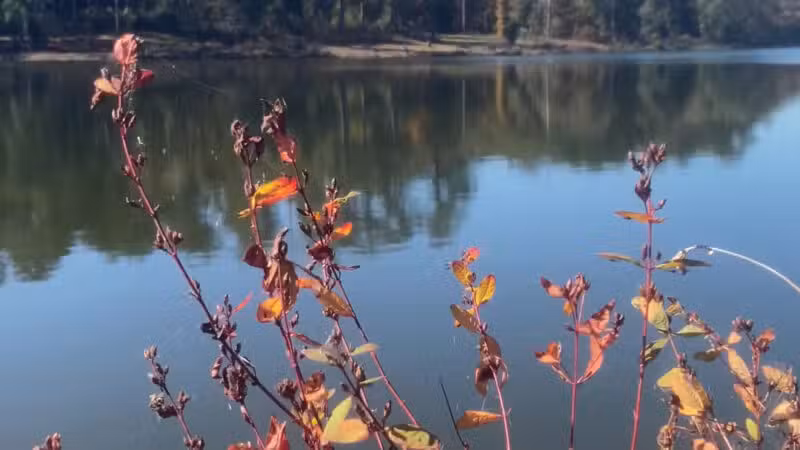 Pike County Lake - Troy, AL