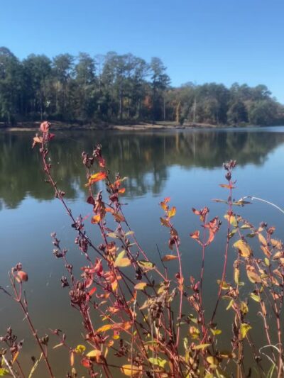 Pike County Lake - Troy, AL