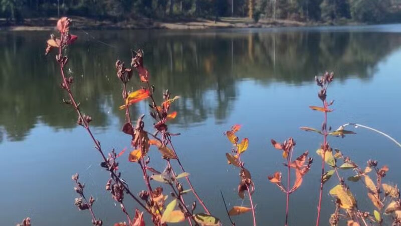 Pike County Lake - Troy, AL