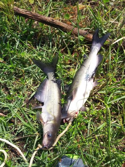 Pike County Lake - Troy, AL