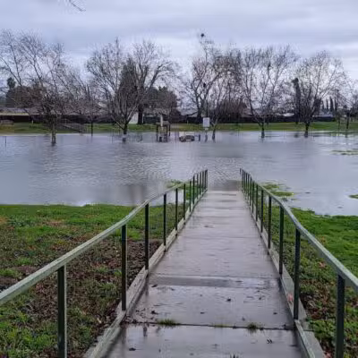 Quaile Rand Norton Dog Park - Turlock, CA