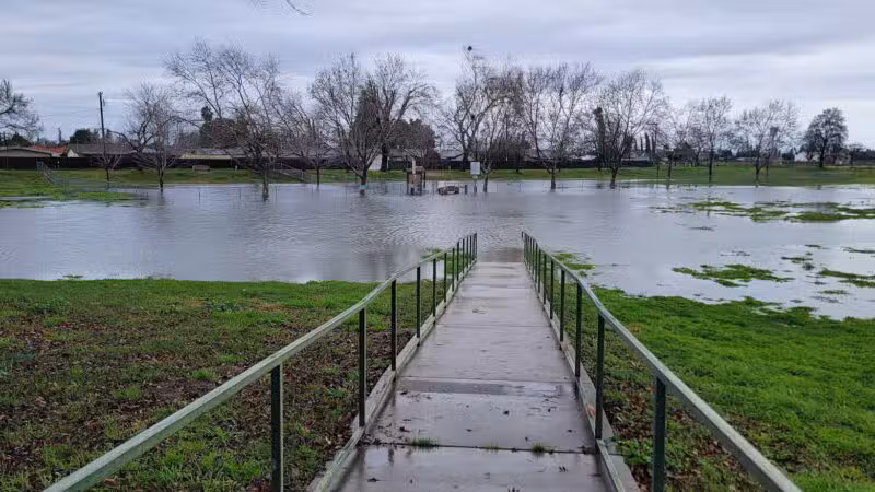 Quaile Rand Norton Dog Park - Turlock, CA