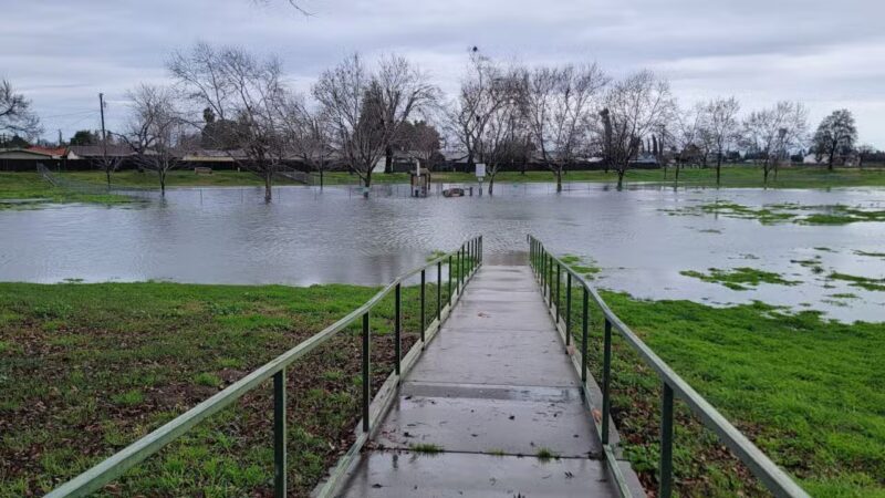 Quaile Rand Norton Dog Park - Turlock, CA