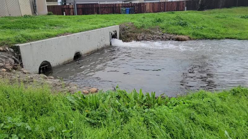 Quaile Rand Norton Dog Park - Turlock, CA