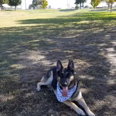 Quaile Rand Norton Park - Turlock, CA