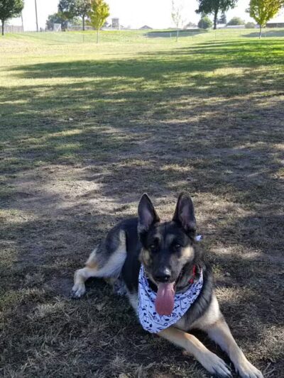 Quaile Rand Norton Park - Turlock, CA