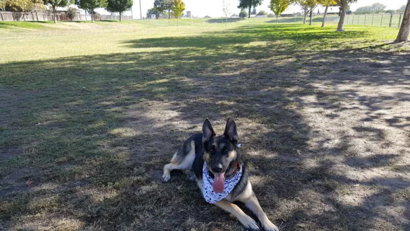 Quaile Rand Norton Park - Turlock, CA