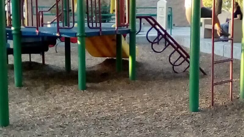 Quaile Rand Norton Park - Turlock, CA