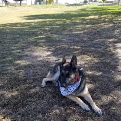 Quaile Rand Norton Park - Turlock, CA