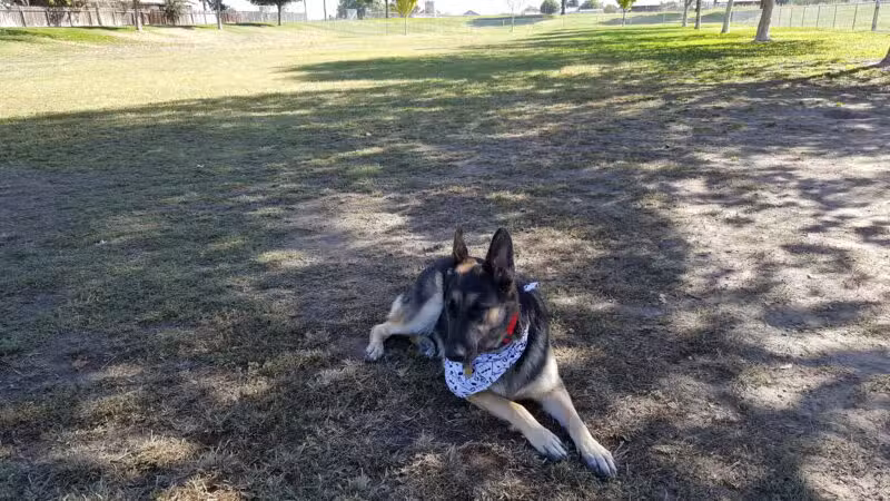 Quaile Rand Norton Park - Turlock, CA