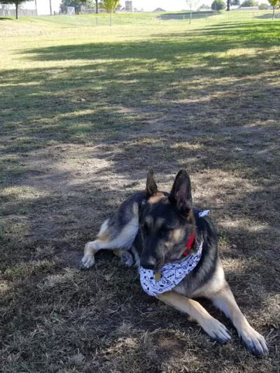 Quaile Rand Norton Park - Turlock, CA