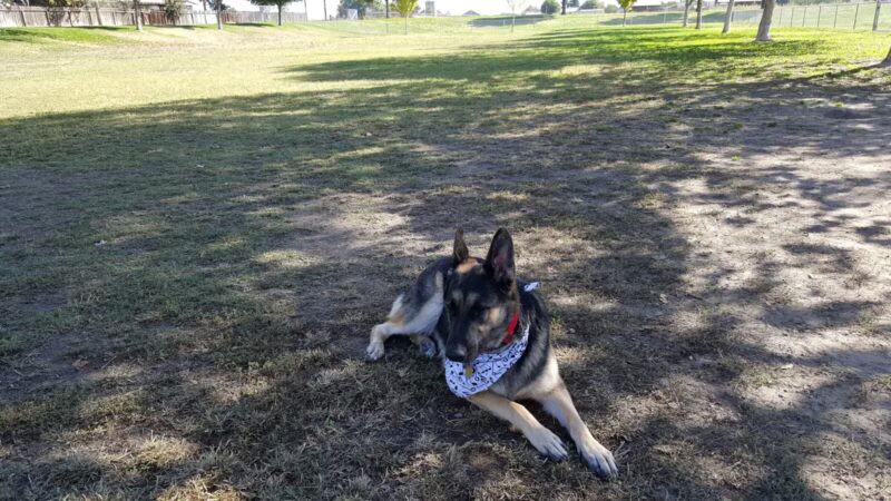 Quaile Rand Norton Park - Turlock, CA