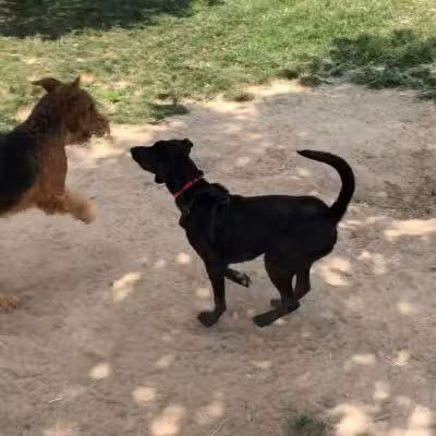 Swanson Centennial Park - Turlock, CA