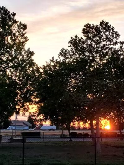 Swanson Centennial Park - Turlock, CA